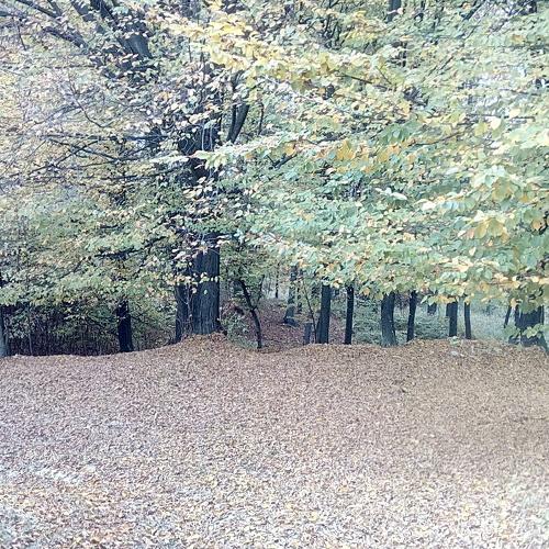 Photo #5047745