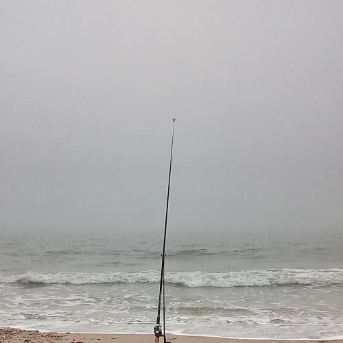 Photo #5047761