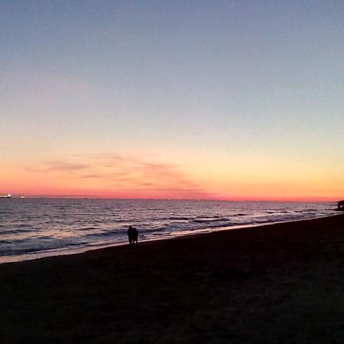 Photo #5047765