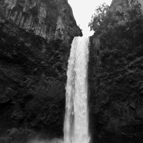 Photo #5047780