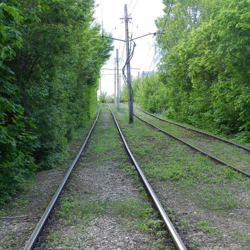 Photo #5047784