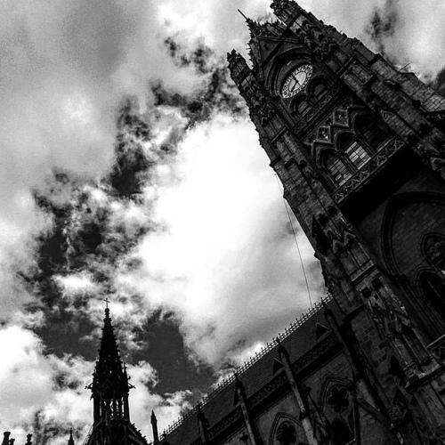 Photo #5047785