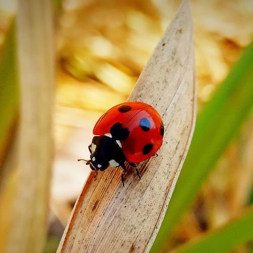 Photo #5047809