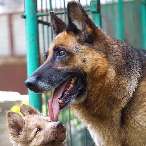 Photo #5048034