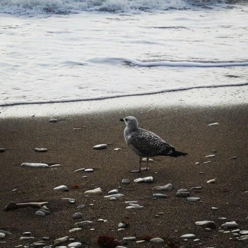 Photo #5048161