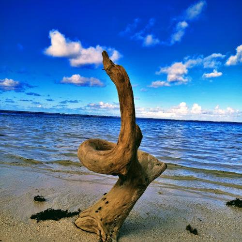 Photo #5048174