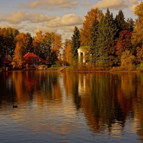 Осень золотая