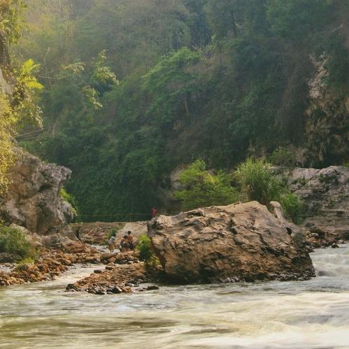Photo #5048615
