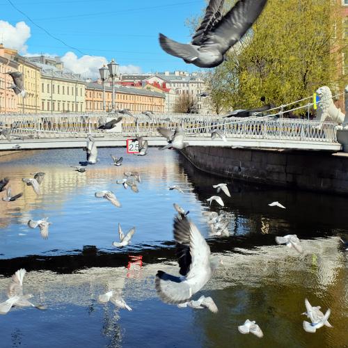 Photo #5048683