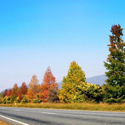 Photo #5048789