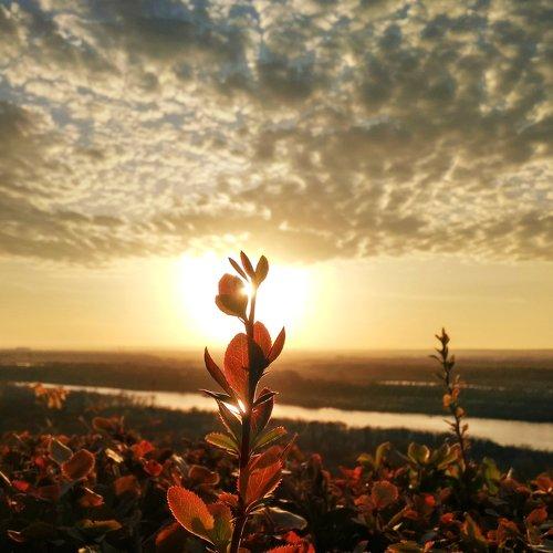 Photo #5048885