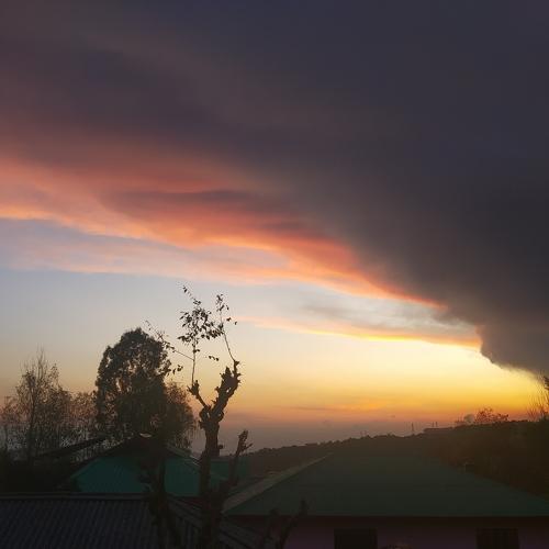Photo #5048910