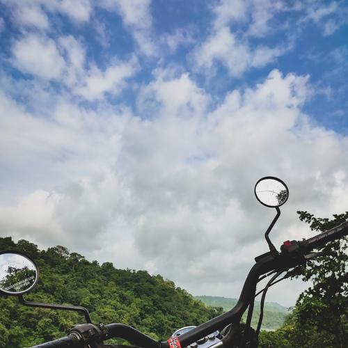 Photo #5049208
