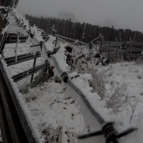 Photo #5049259