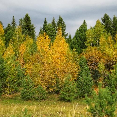 Photo #5049263