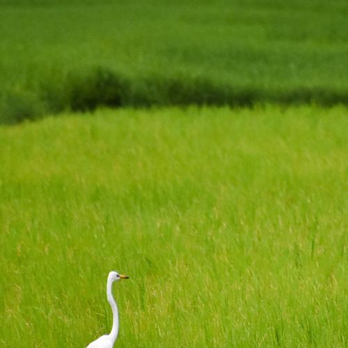 Photo #5049584