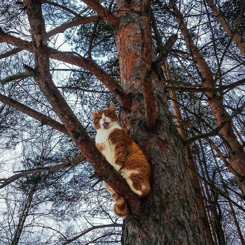 Photo #5049677