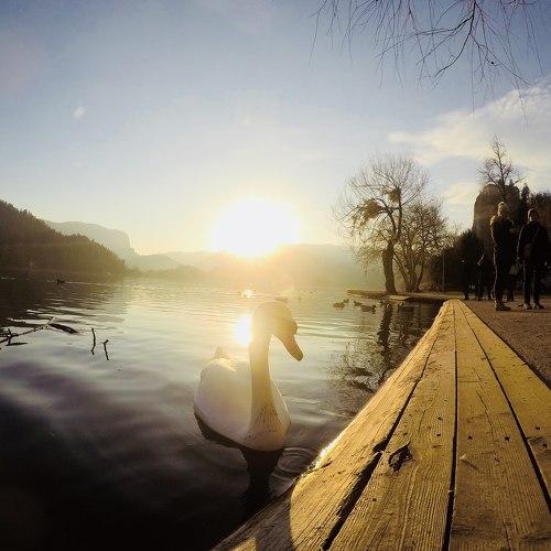 Photo #5049717