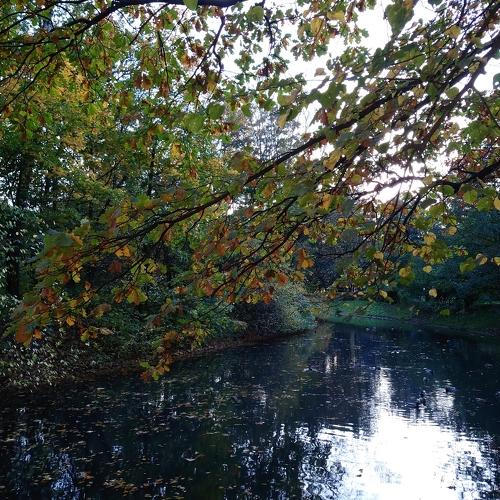 Photo #5050517