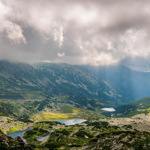 Photo #5050529