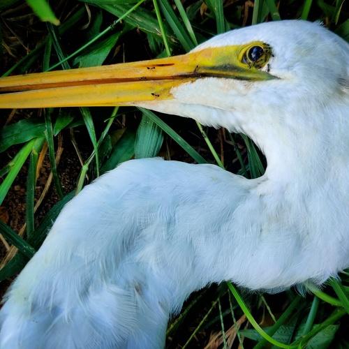Photo #5050763