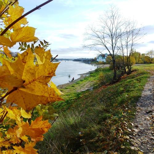 Photo #5051812