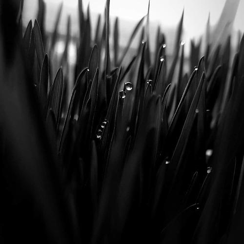 Photo #5051868