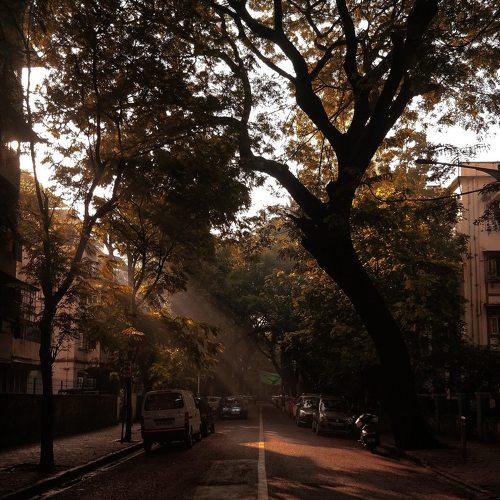 Photo #5052133
