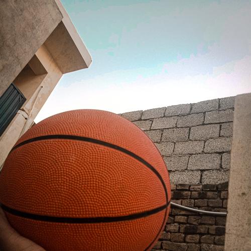 Photo #5052396