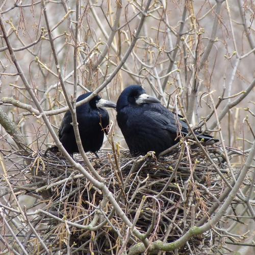 Photo #5052421