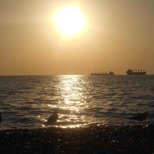 Photo #5052922