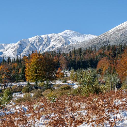 Photo #5053073