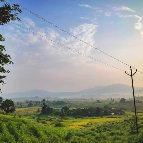 Photo #5053111