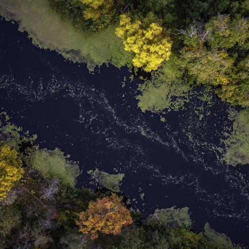 Photo #5053291