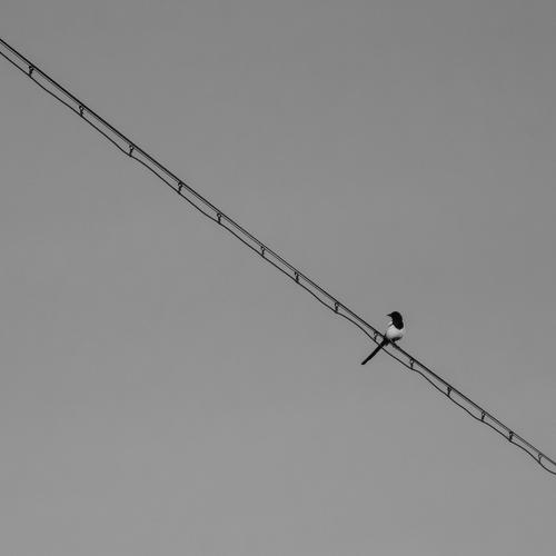 Photo #5053415