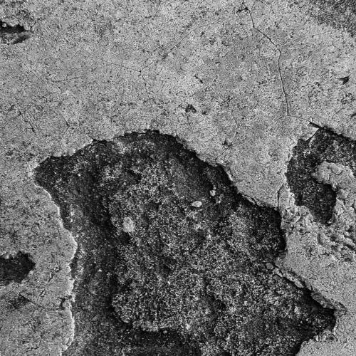 A Human Face
