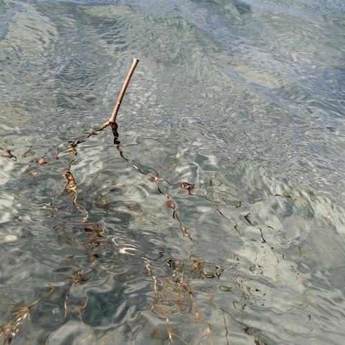 Photo #5053543