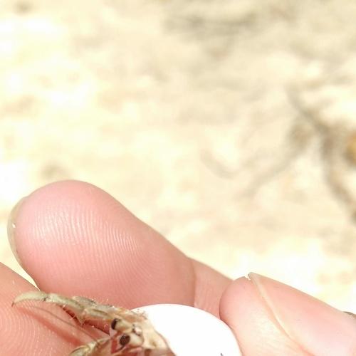 Photo #5053662