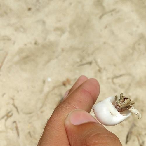 Photo #5053663