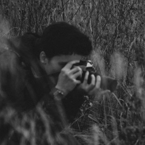 Photo #5053758