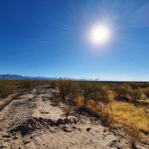 Dry Plains