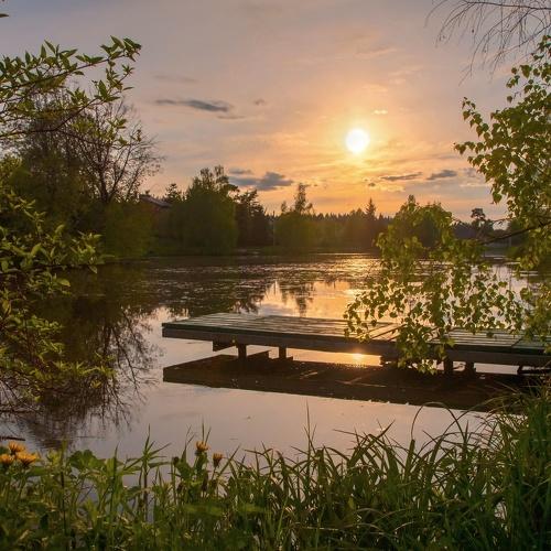 Photo #5053927