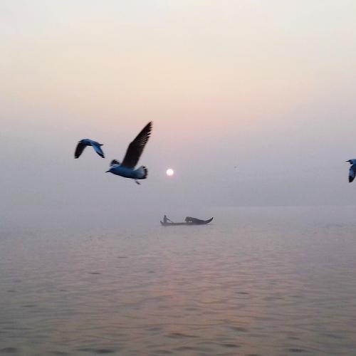 Photo #5054037
