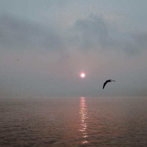 Photo #5054043