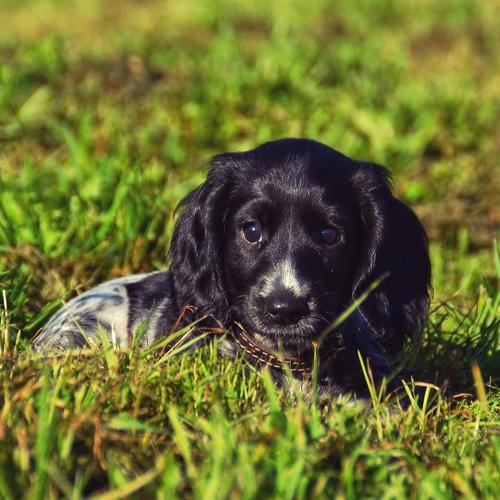 Photo #5054188