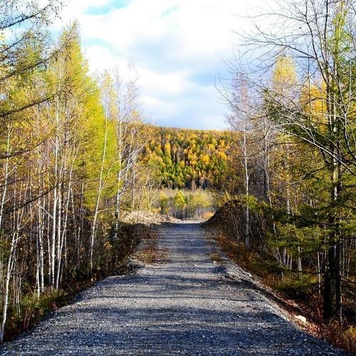 Photo #5054249