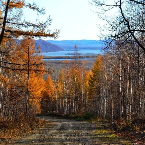 Photo #5054251