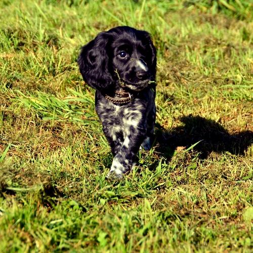 Photo #5054261