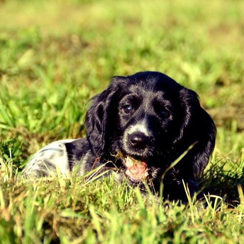 Photo #5054264