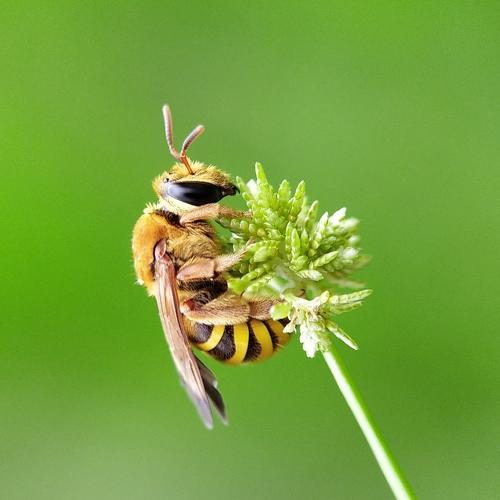 Photo #5054463